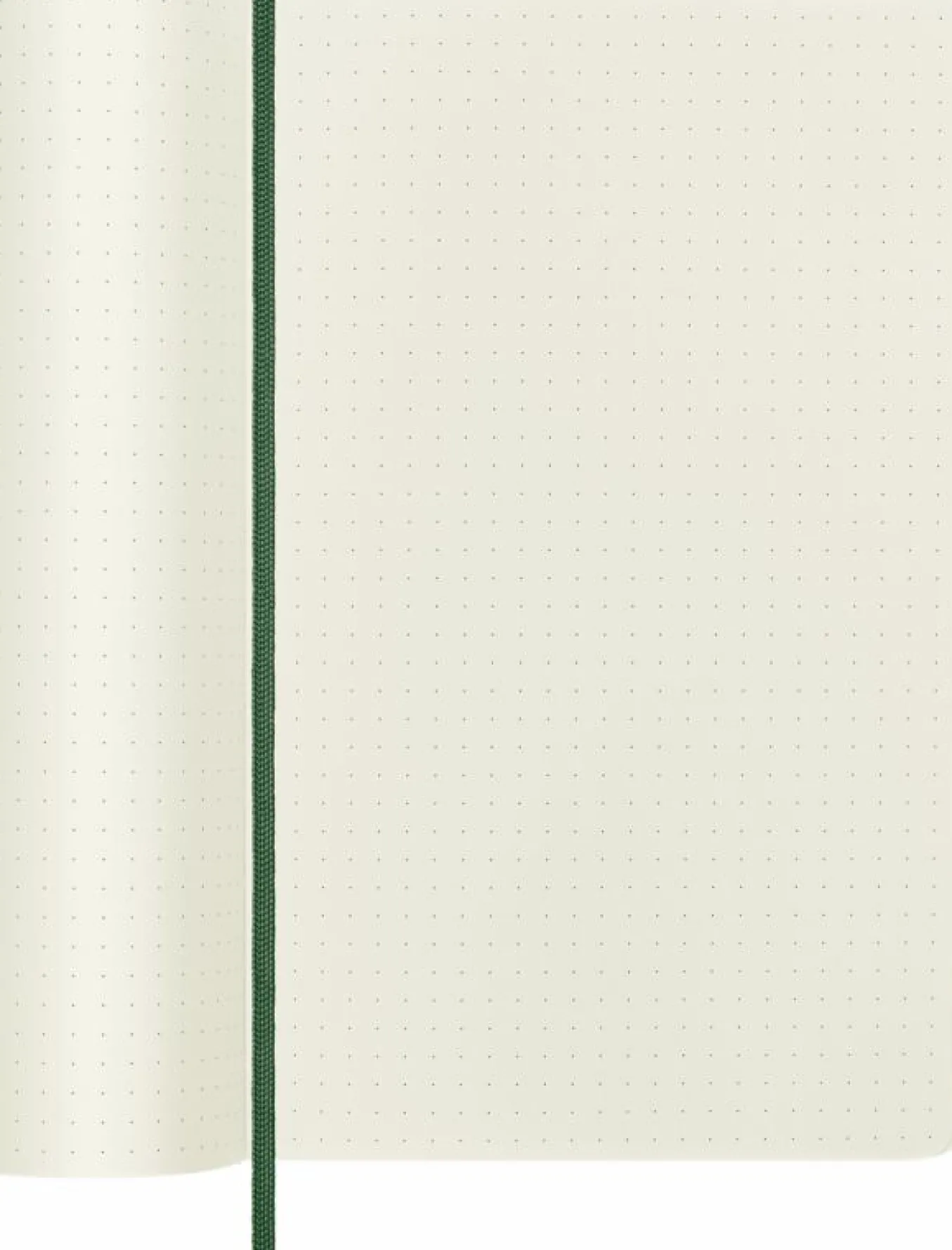 classic_notebook_soft_cov_2-8.webp Classic Notebook Soft Cover Myrtle Green