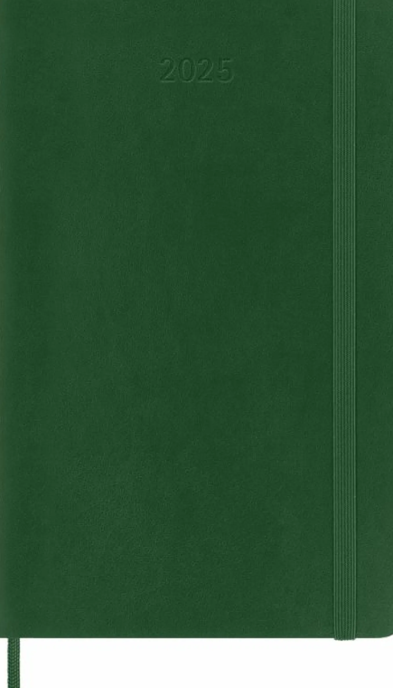 Classic Planner 2025 Large Daily, soft cover, 12 months Myrtle Green