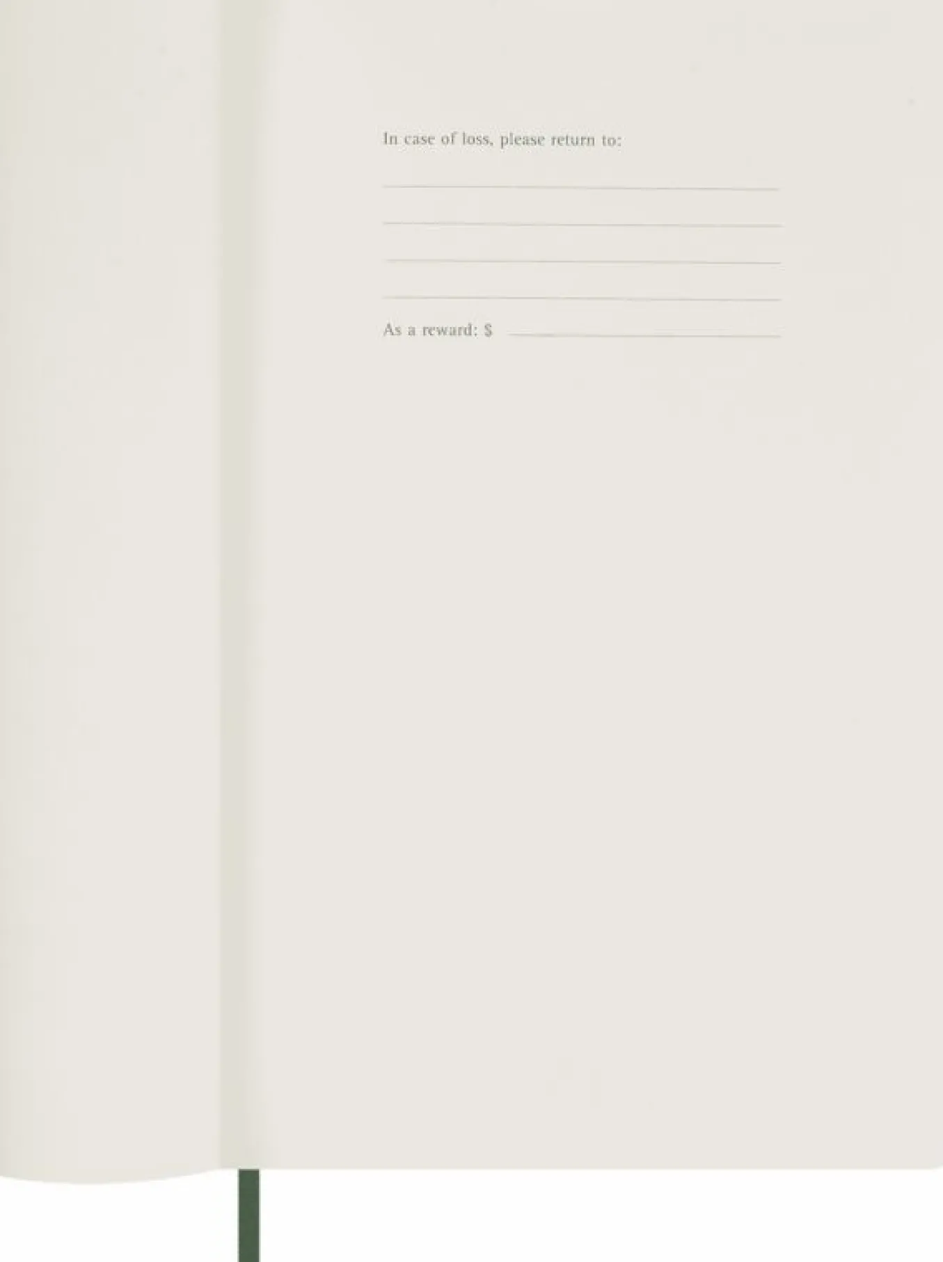 Classic Planner 2025 Large Daily, soft cover, 12 months Myrtle Green