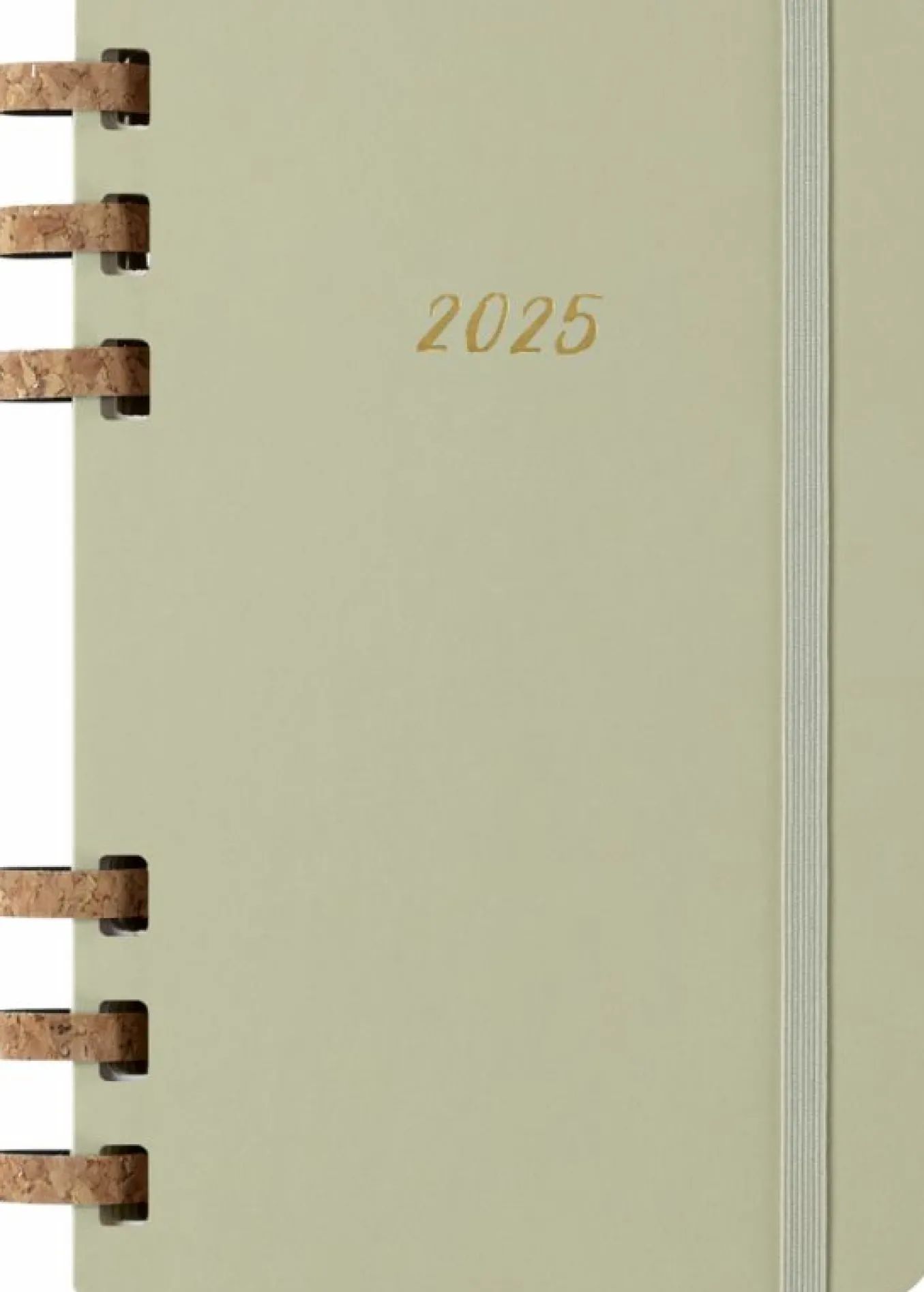 Life Planner 2025 L 12-Month, Spiral Kiwi