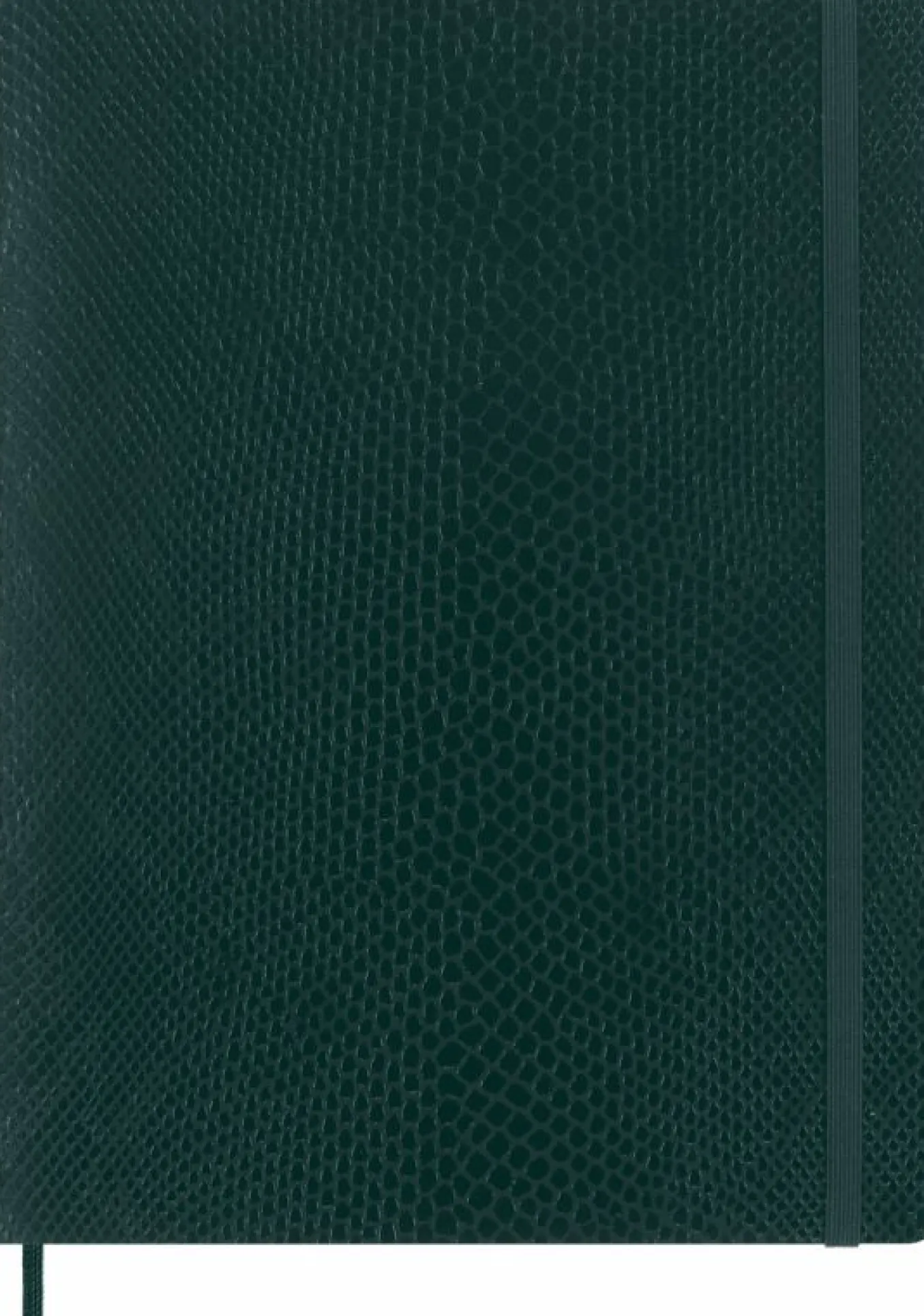 Precious & Ethical Notebook Vegan Soft Cover, Python-effect, Plain Green