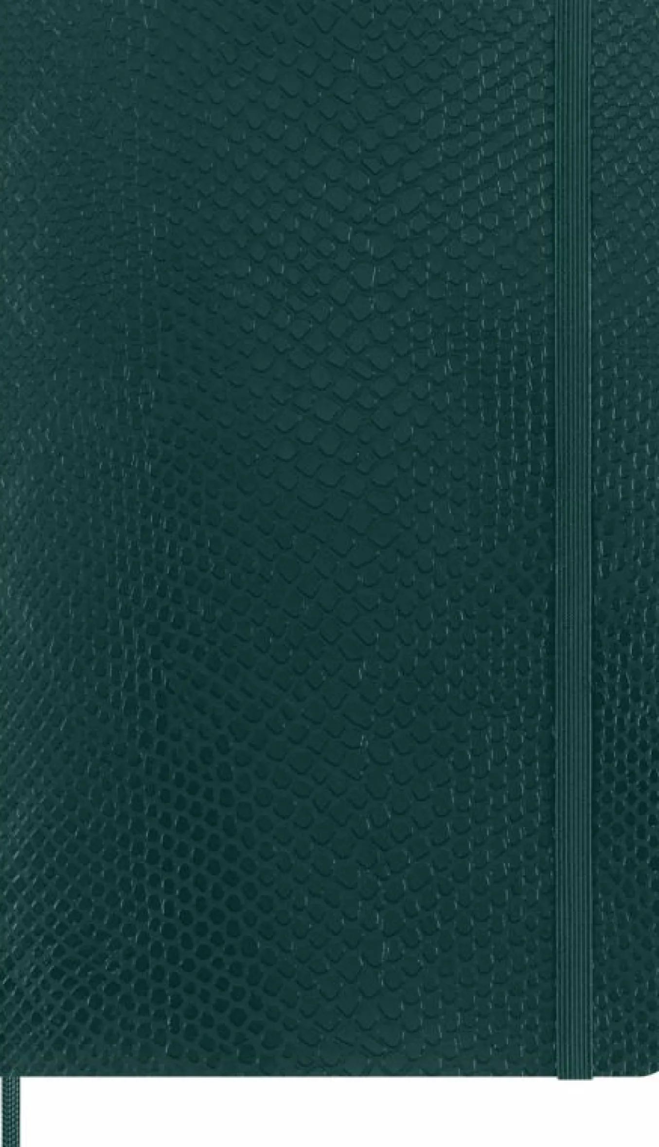 Precious & Ethical Notebook Vegan Soft Cover, Python-effect, Ruled Green