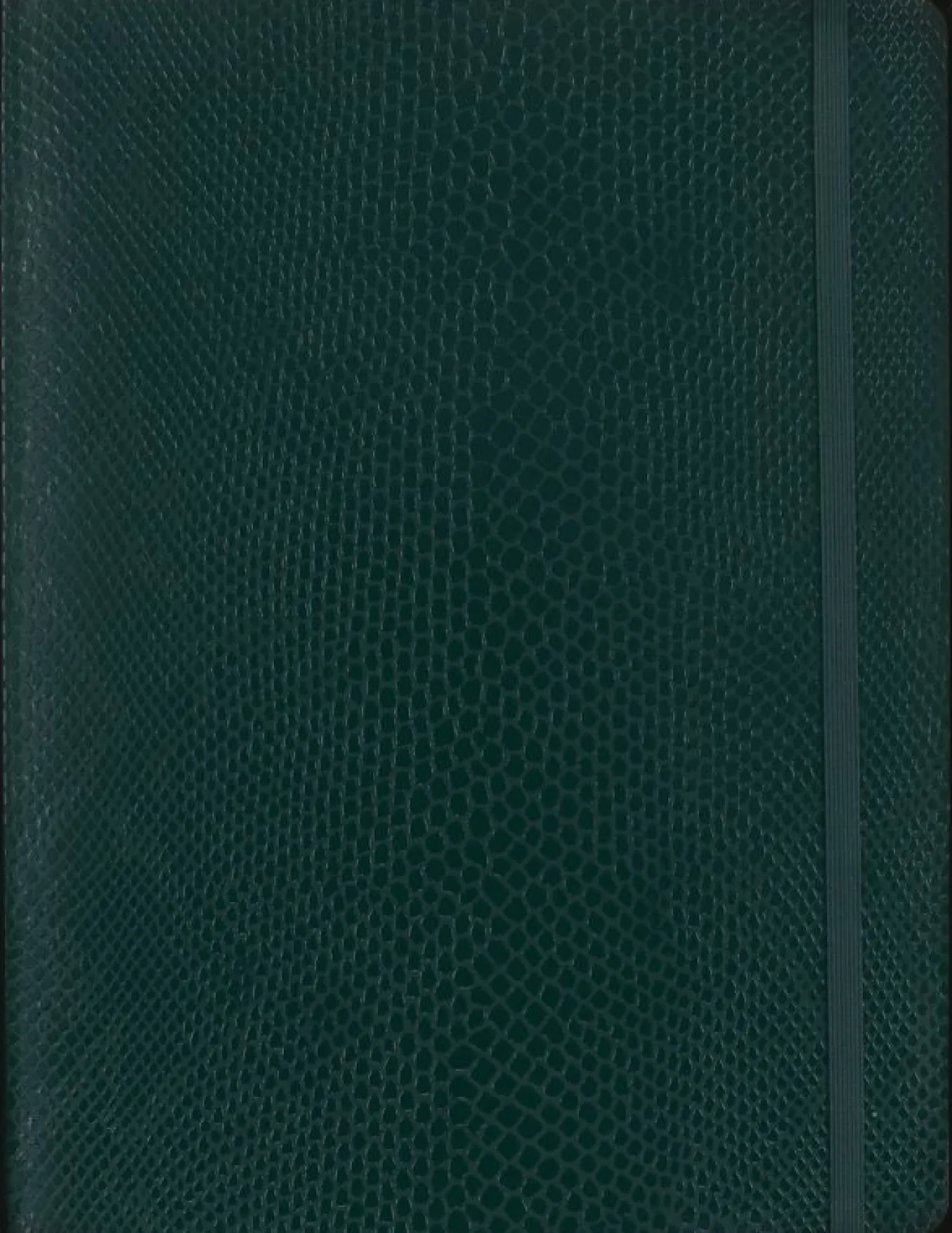precious_amp_ethical_note_2-2.webp Precious & Ethical Notebook Vegan Soft Cover, Python-effect, Plain Green