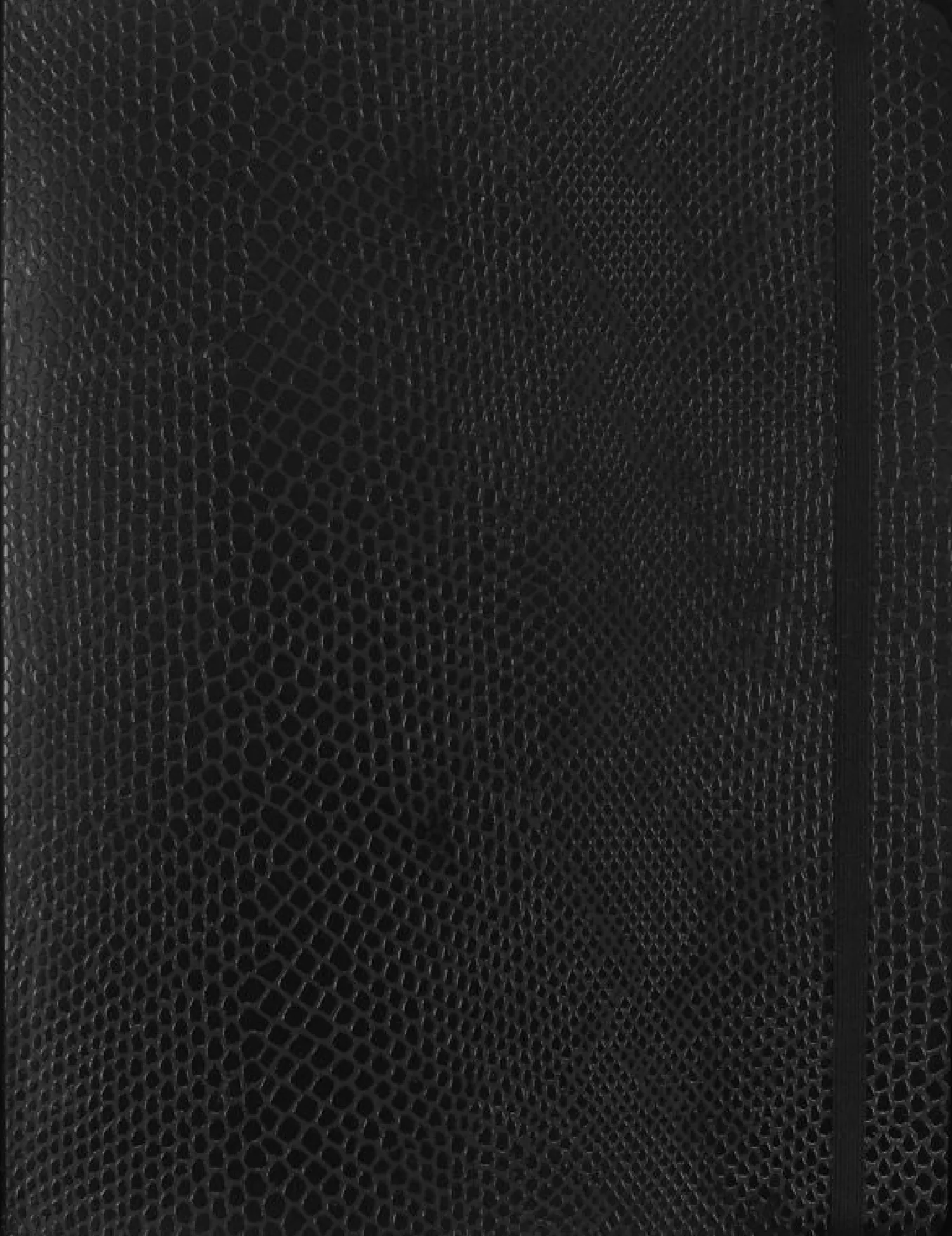 precious_amp_ethical_note_2-3.webp Precious & Ethical Notebook Vegan Soft Cover, Python-effect, Plain Black