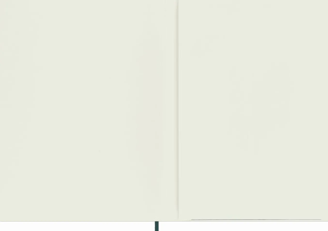 precious_amp_ethical_note_5-2.webp Precious & Ethical Notebook Vegan Soft Cover, Python-effect, Plain Green