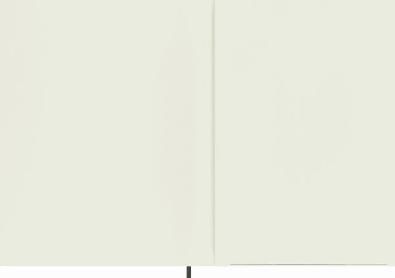 precious_amp_ethical_note_5-3.webp Precious & Ethical Notebook Vegan Soft Cover, Python-effect, Plain Black