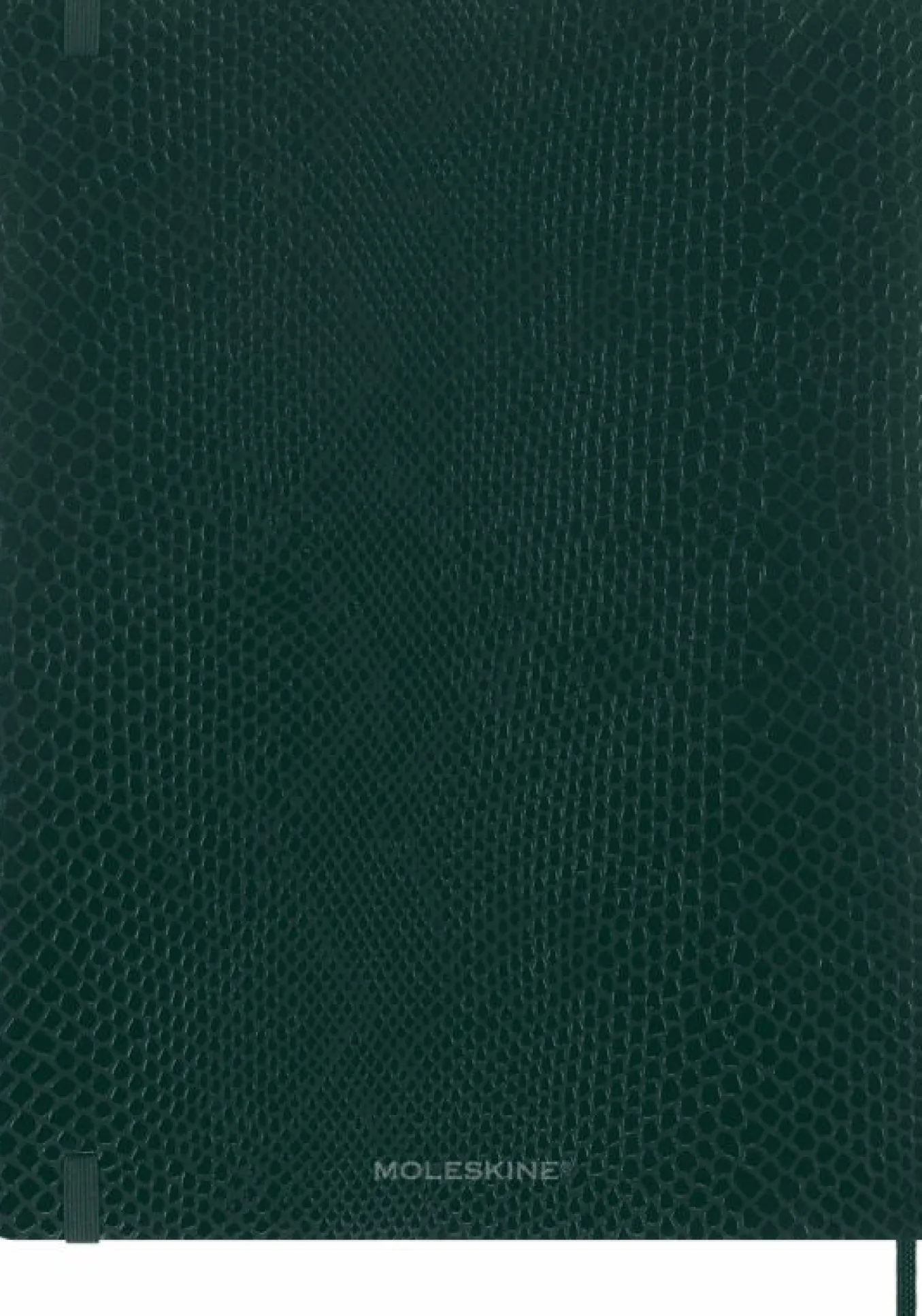 precious_amp_ethical_note_6-2.webp Precious & Ethical Notebook Vegan Soft Cover, Python-effect, Plain Green