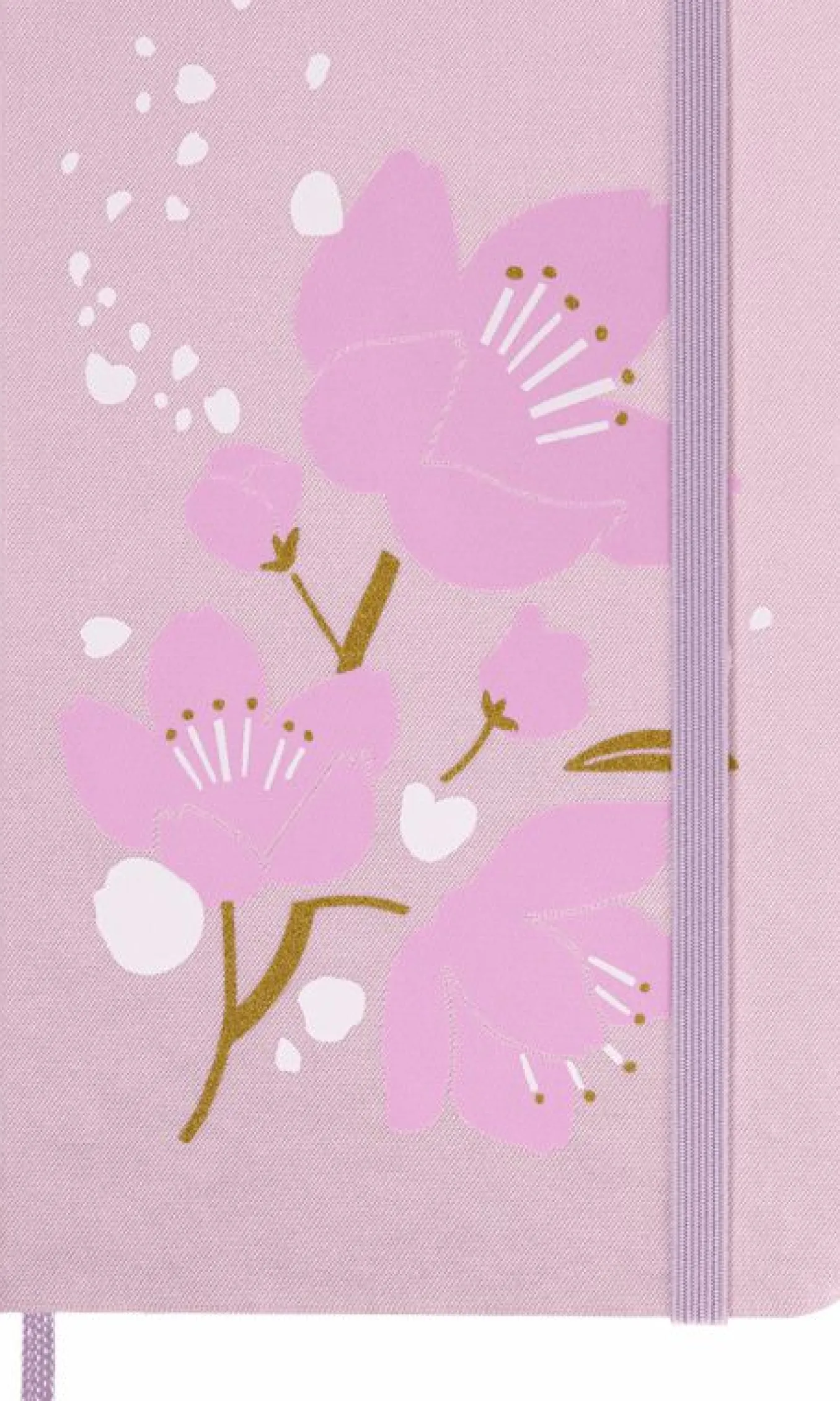 Sakura Notebooks Limited Edition Asazakura