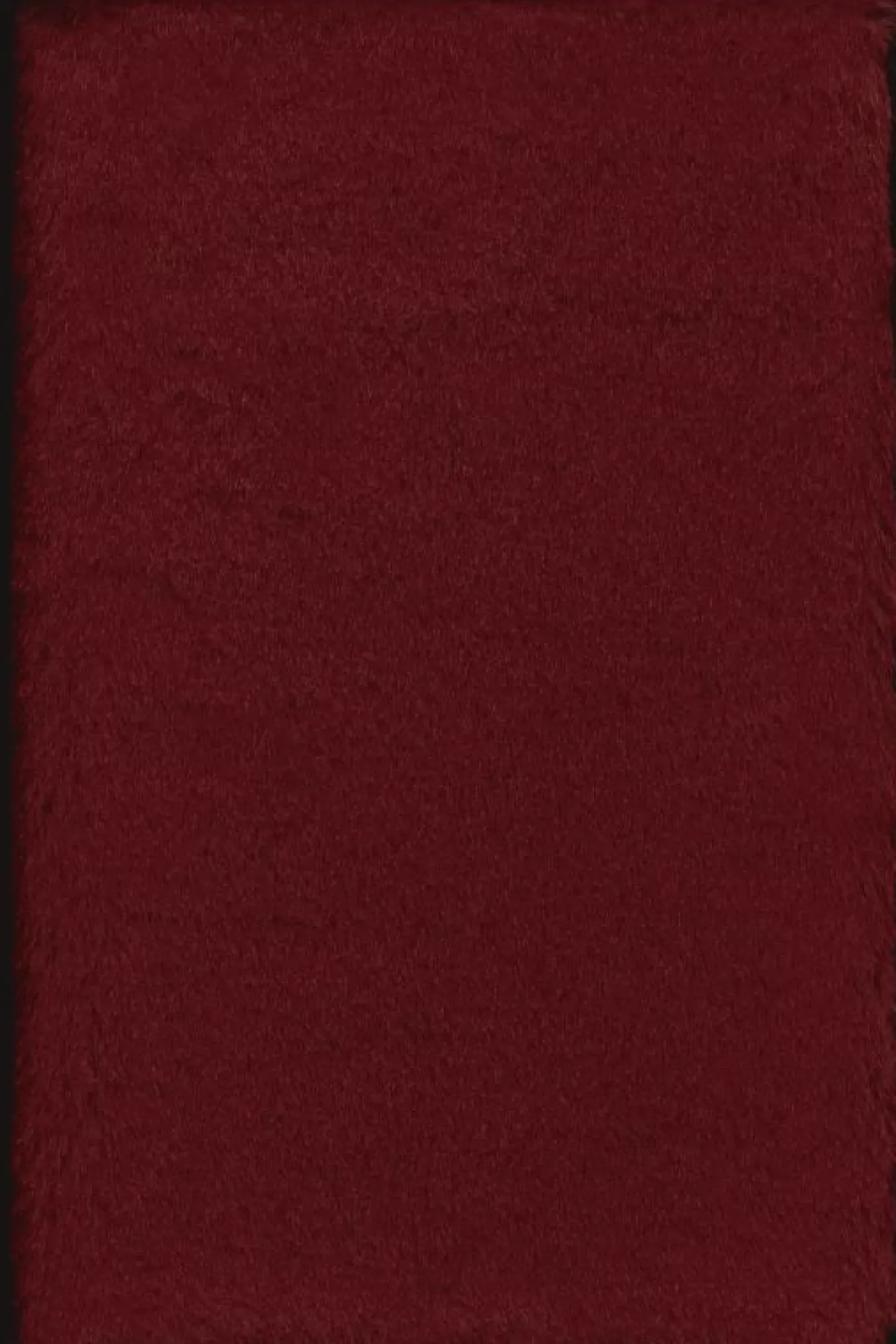 Soft Notebook Faux Fur, XS, Plain MAPLE RED