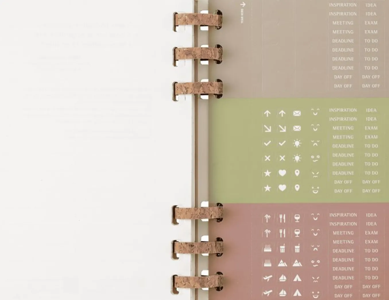 student_life_planner__mon_14.webp Student Life Planner 2024/2025 12-Month, Spiral KIWI