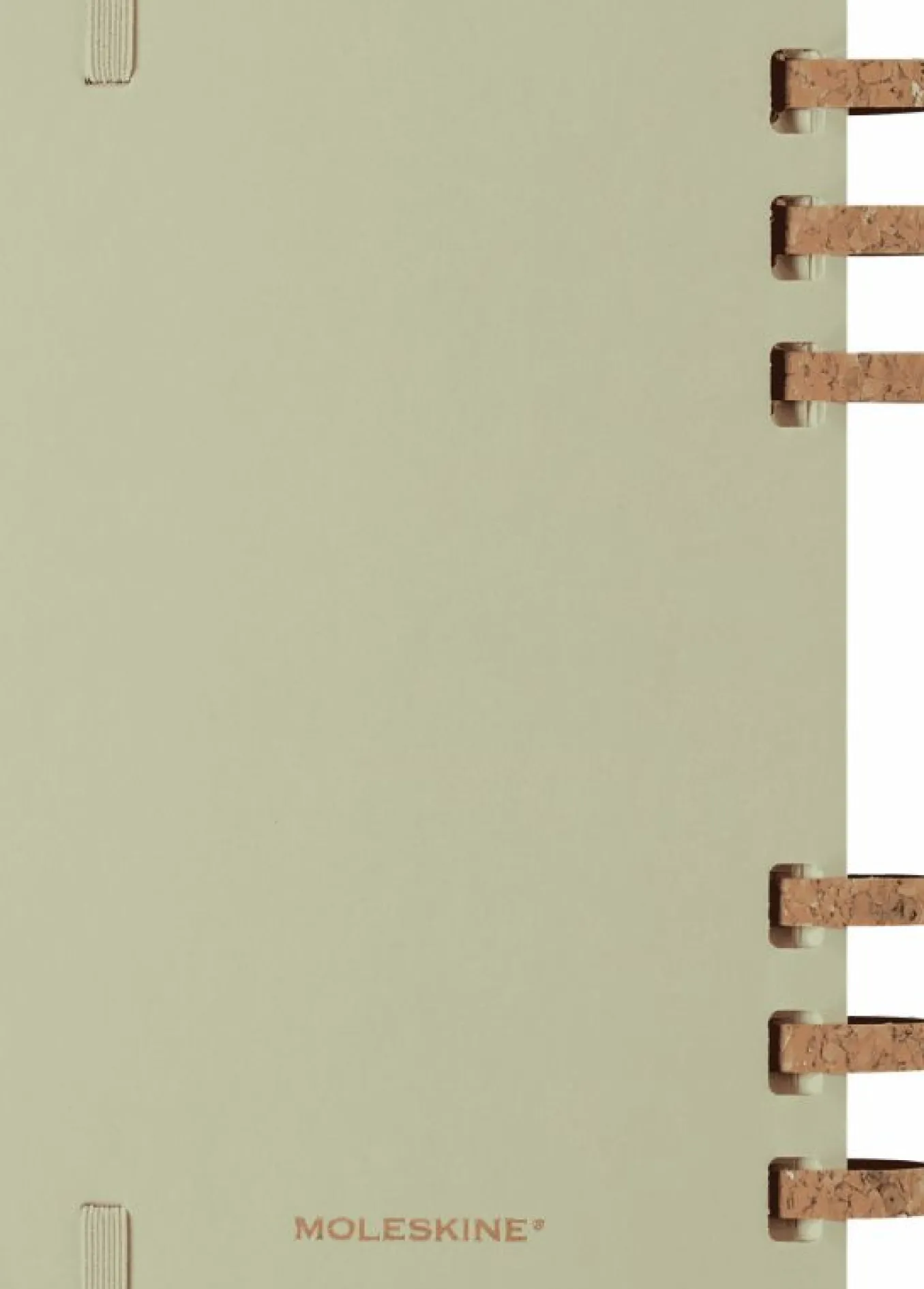 student_life_planner__mon_16.webp Student Life Planner 2024/2025 12-Month, Spiral KIWI