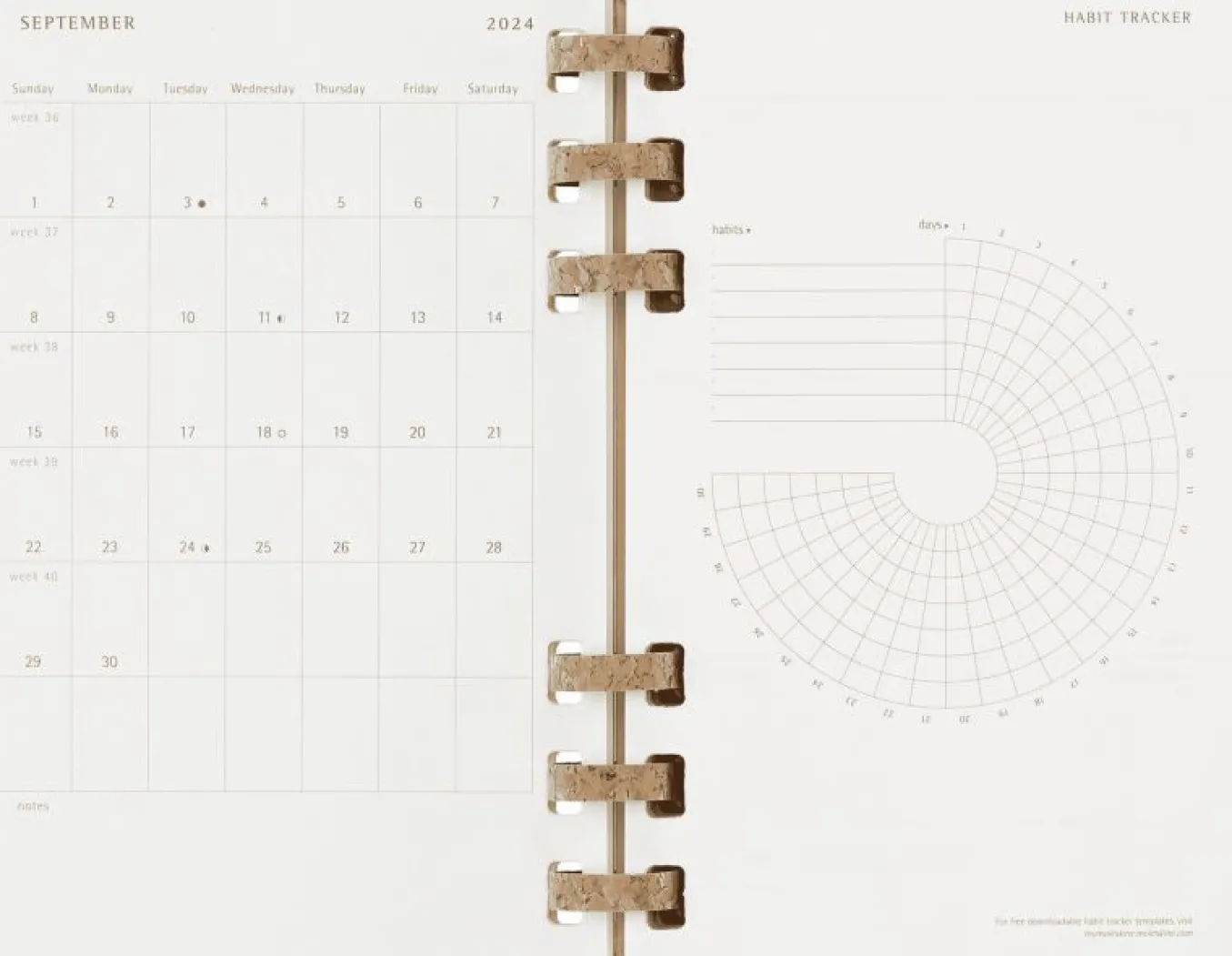 student_life_planner__mon_8.webp Student Life Planner 2024/2025 12-Month, Spiral KIWI