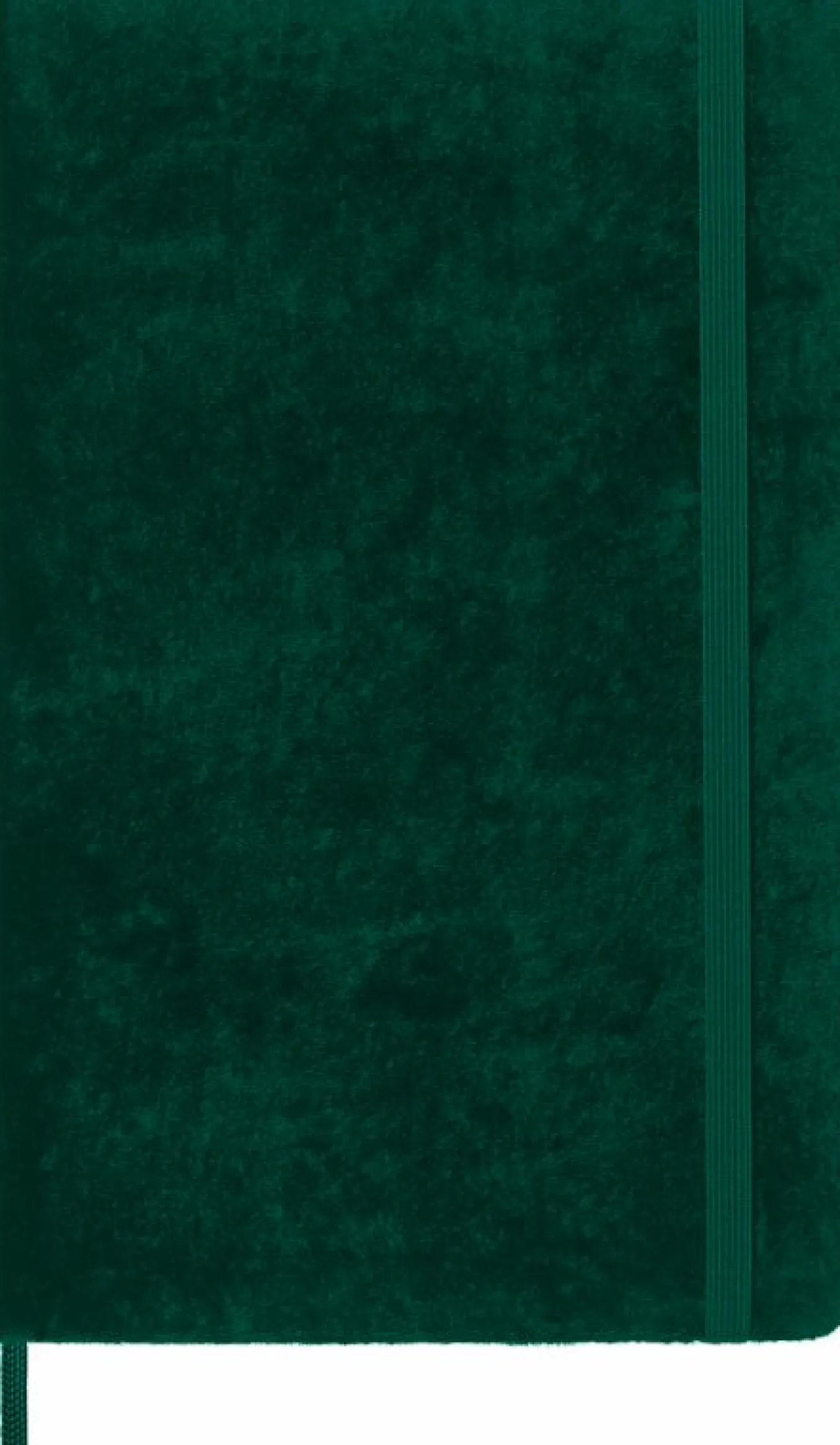 Velvet Notebook Green