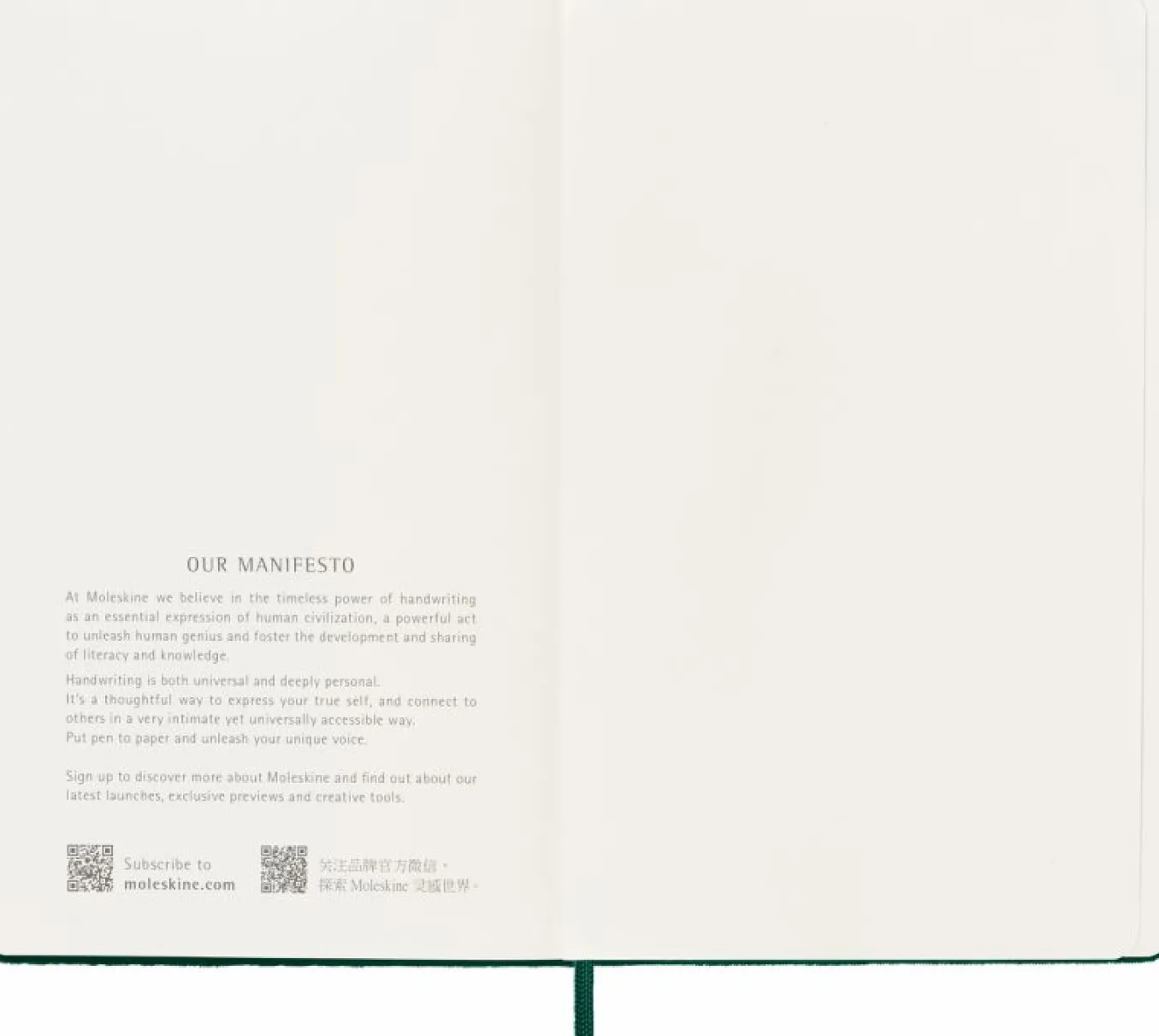 velvet_notebook_green_2.webp Velvet Notebook Green