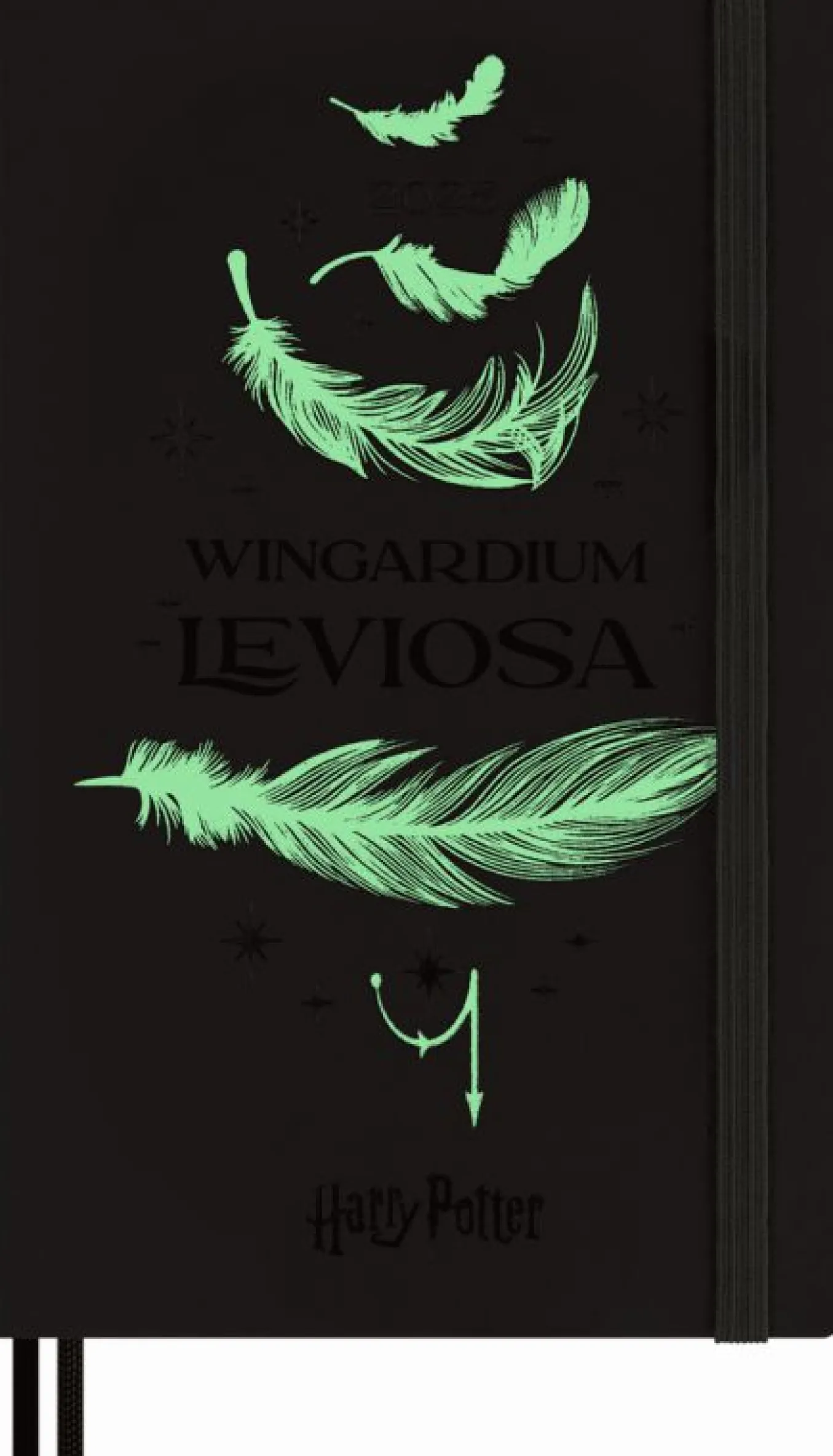 Wizarding World Harry Potter Limited Edition 12-Month Weekly Notebook Diary/Planner, Large Hard Wingardium leviosa