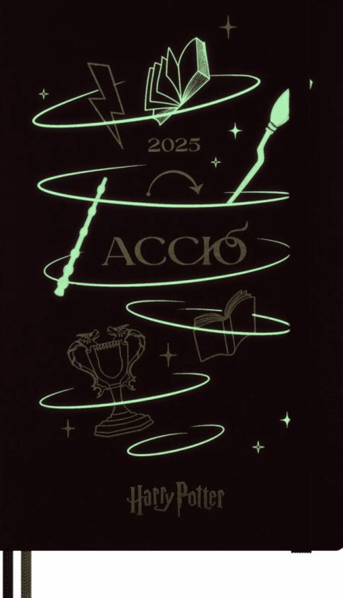 Wizarding World Harry Potter Limited Edition 12-Month Daily Diary/Planner, Large, Hard Cover Accio