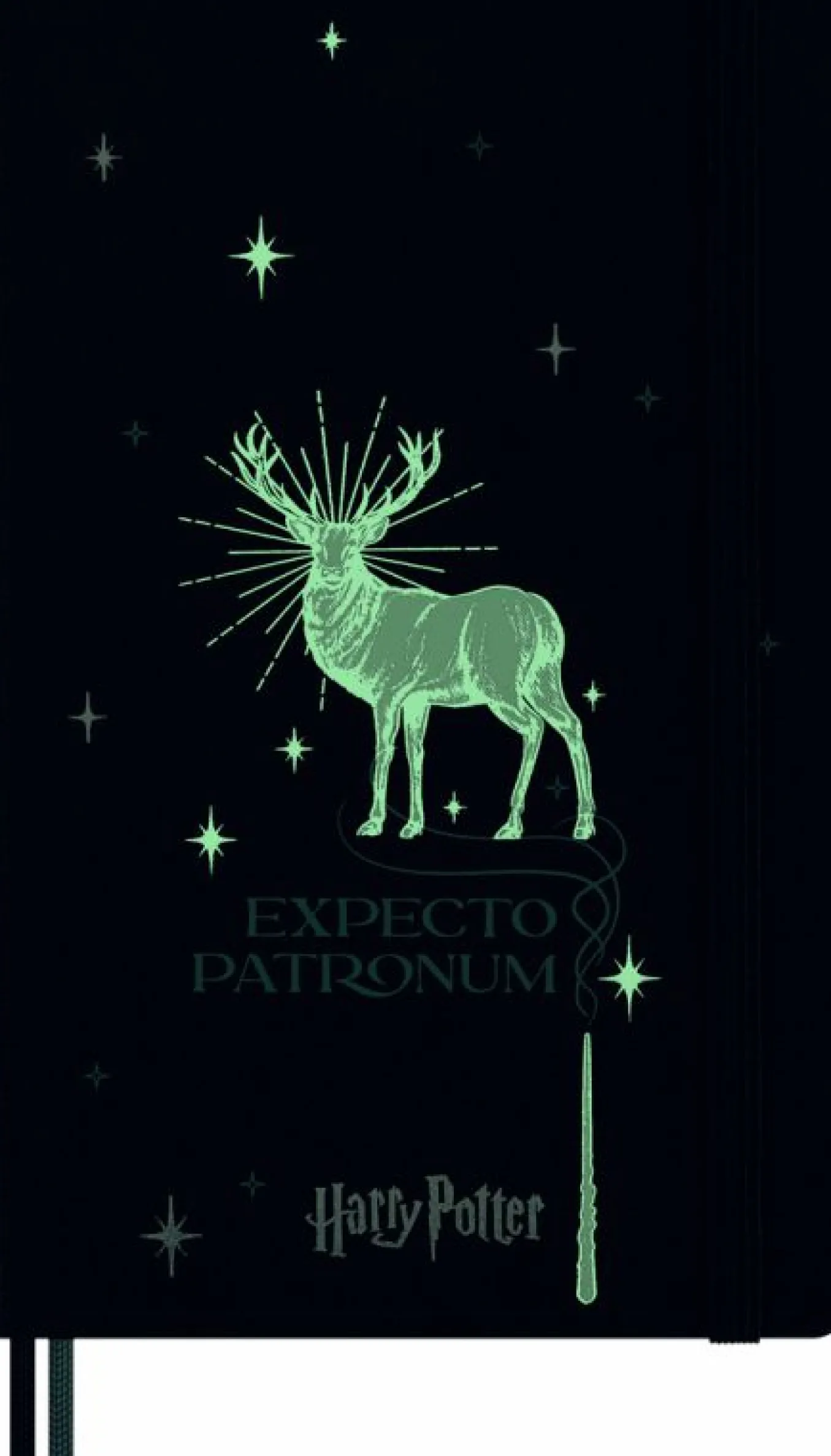 Wizarding World Harry Potter Limited Edition Notebook Large, ruled, hard cover Expecto Patronum