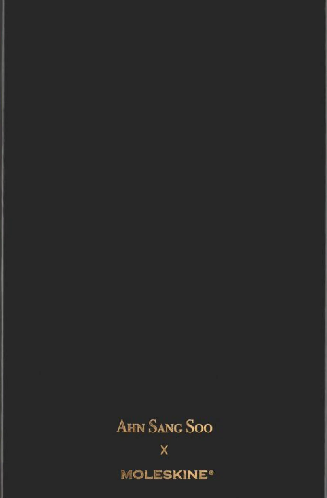 year_of_the_dragon_notebo_10.webp Year of the Dragon Notebook by Ahn Sang Soo Large Ruled Fabric Hard Cover Notebook in a Gift Box Multi-color