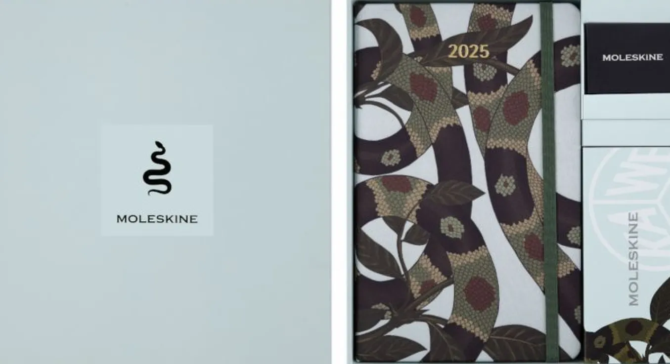 Year of the Snake Luxury Collector's Box Notebook, Planner, Fountain Pen and Pin Multi-color