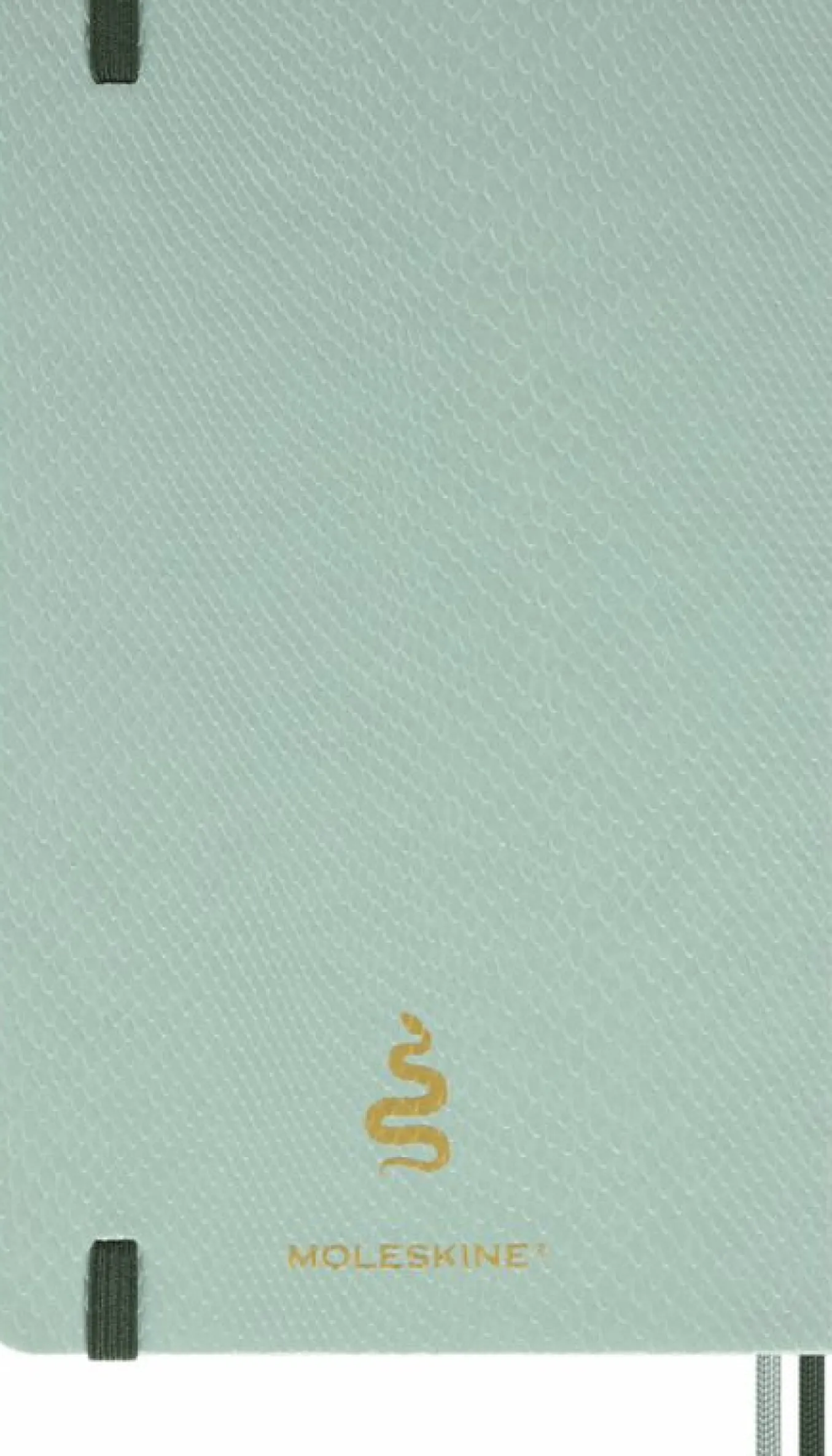 year_of_the_snake_luxury__14.webp Year of the Snake Luxury Collector's Box Notebook, Planner, Fountain Pen and Pin Multi-color