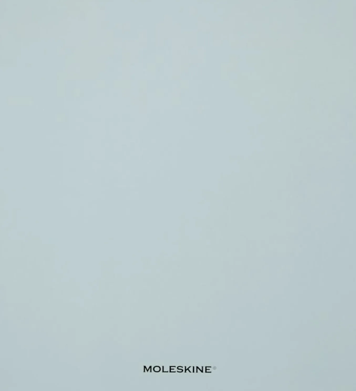 year_of_the_snake_luxury__15.webp Year of the Snake Luxury Collector's Box Notebook, Planner, Fountain Pen and Pin Multi-color