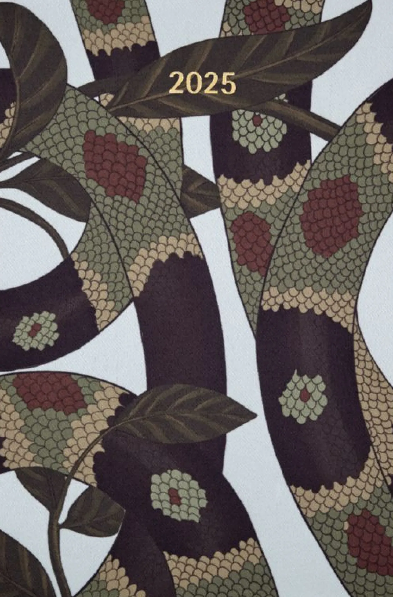 Year of the Snake 12-Month Planner 2025 Large, Hard Cover, Weekly Notebook & Gift Box Multi-color