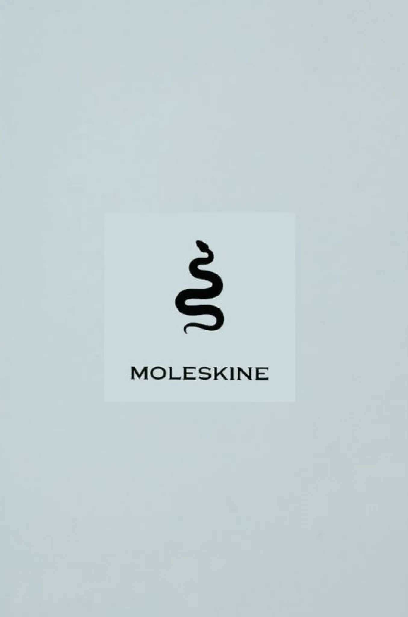 Year of the Snake Notebook Large, Ruled, 100% VEGEA&reg; Hard Cover & Gift Box Sage Green