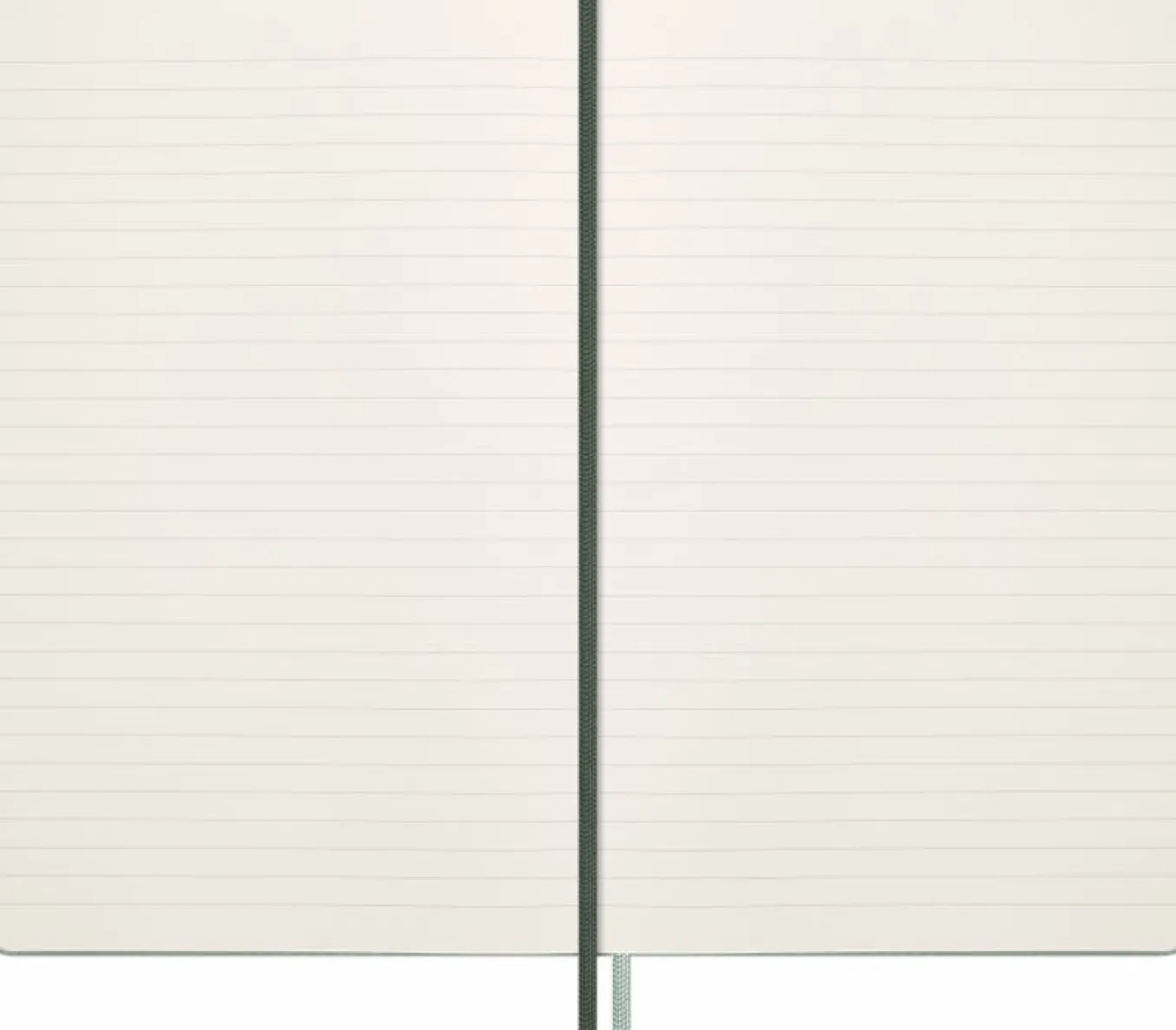 year_of_the_snake_noteboo_5-1.webp Year of the Snake Notebook Large, Ruled, 100% VEGEA® Hard Cover & Gift Box Sage Green